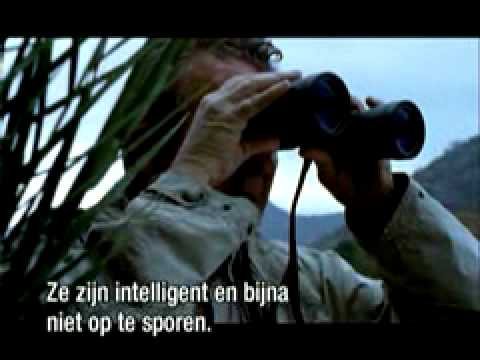 Beeld uit Koninklijke Landmacht Commando's