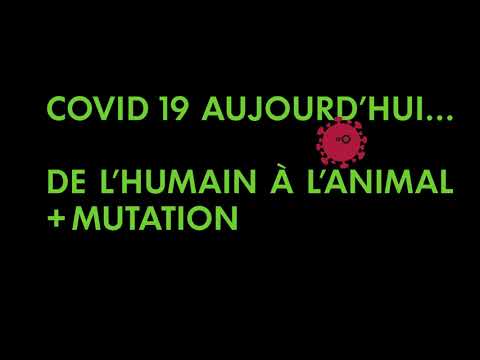 Beeld uit CIWF 'Mutation'
